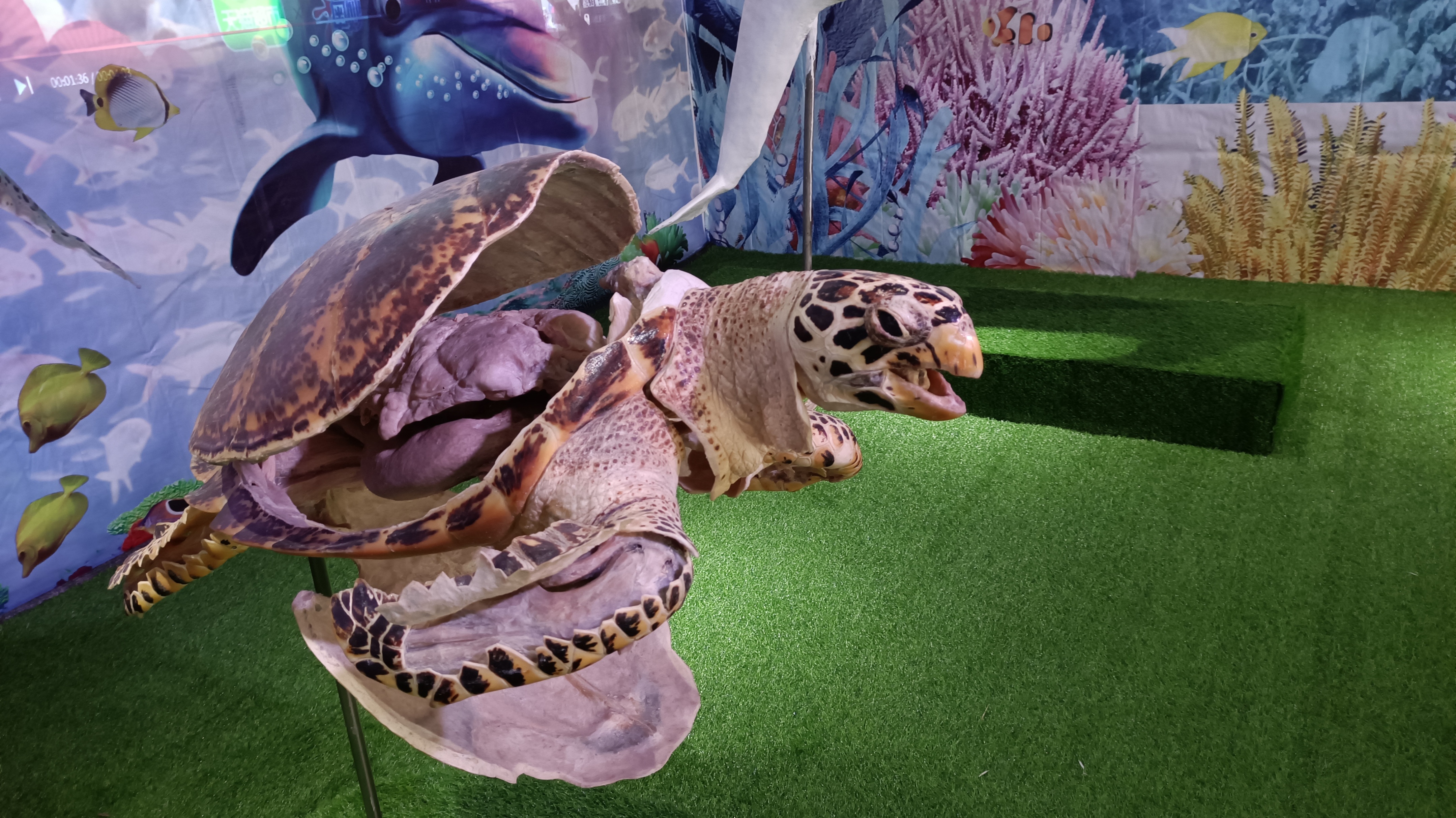 郑州周边游玩夏季景点攻略,郑州周边遛娃避暑游玩推荐景点