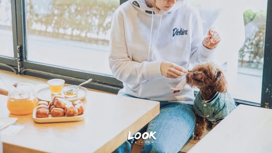 北京哪里有宠物店铺,宠物友好商城北京