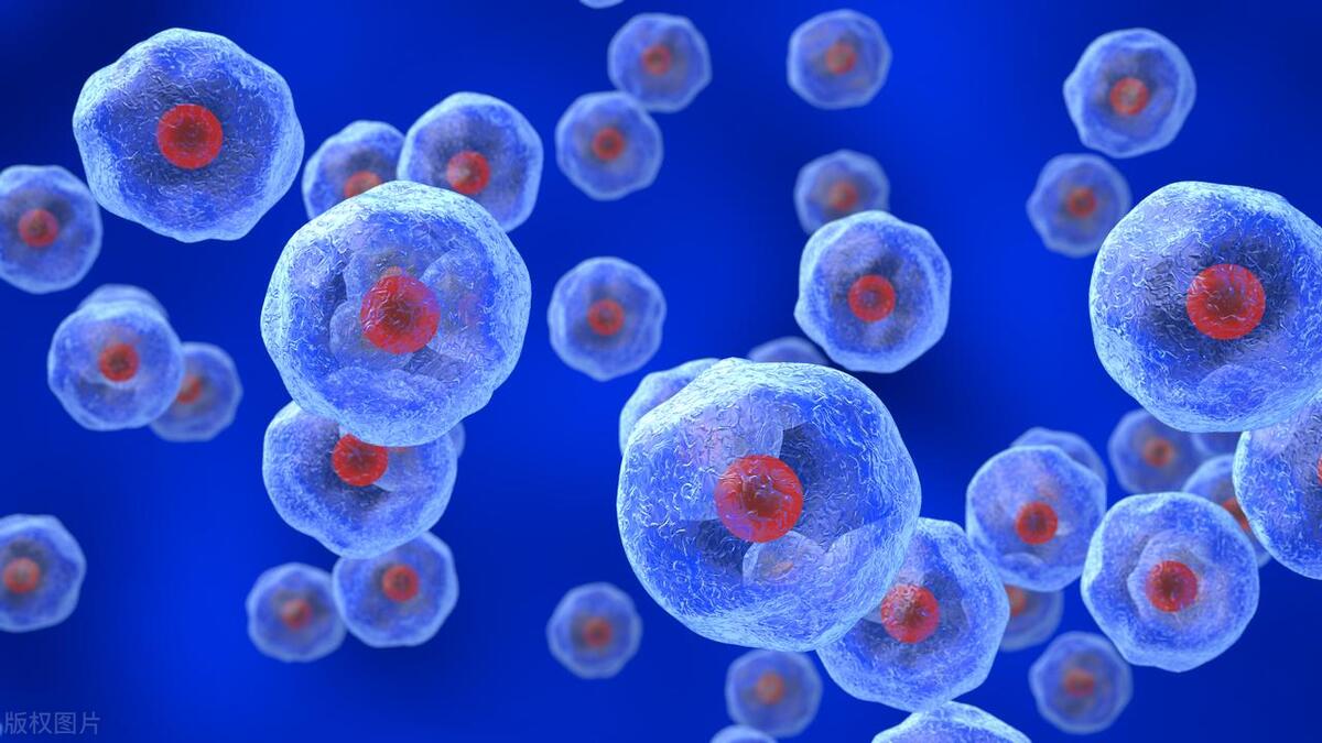 喉咙里总是有痰吐不完怎么办,痰多吐不完教你一招远离各种痰