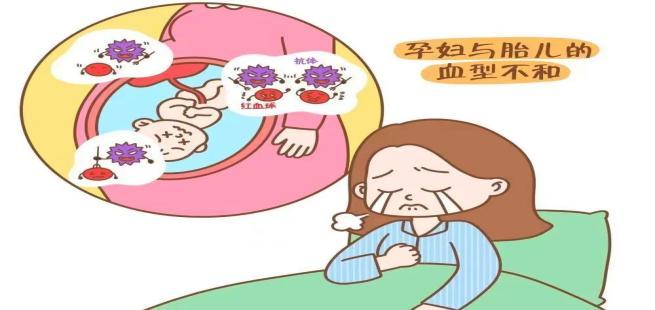 孕妈是o型血一定要做溶血检查吗,o型血孕妈喂母乳孩子体质更好吗