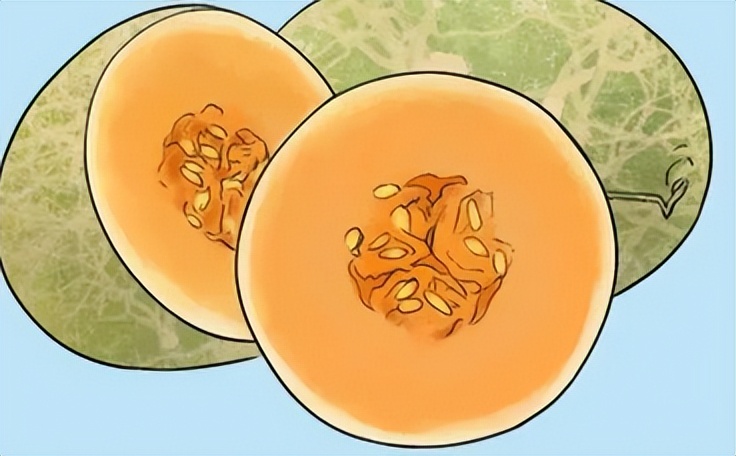 胸部长的褐色小点是什么,女生胸部上长了白色小点点