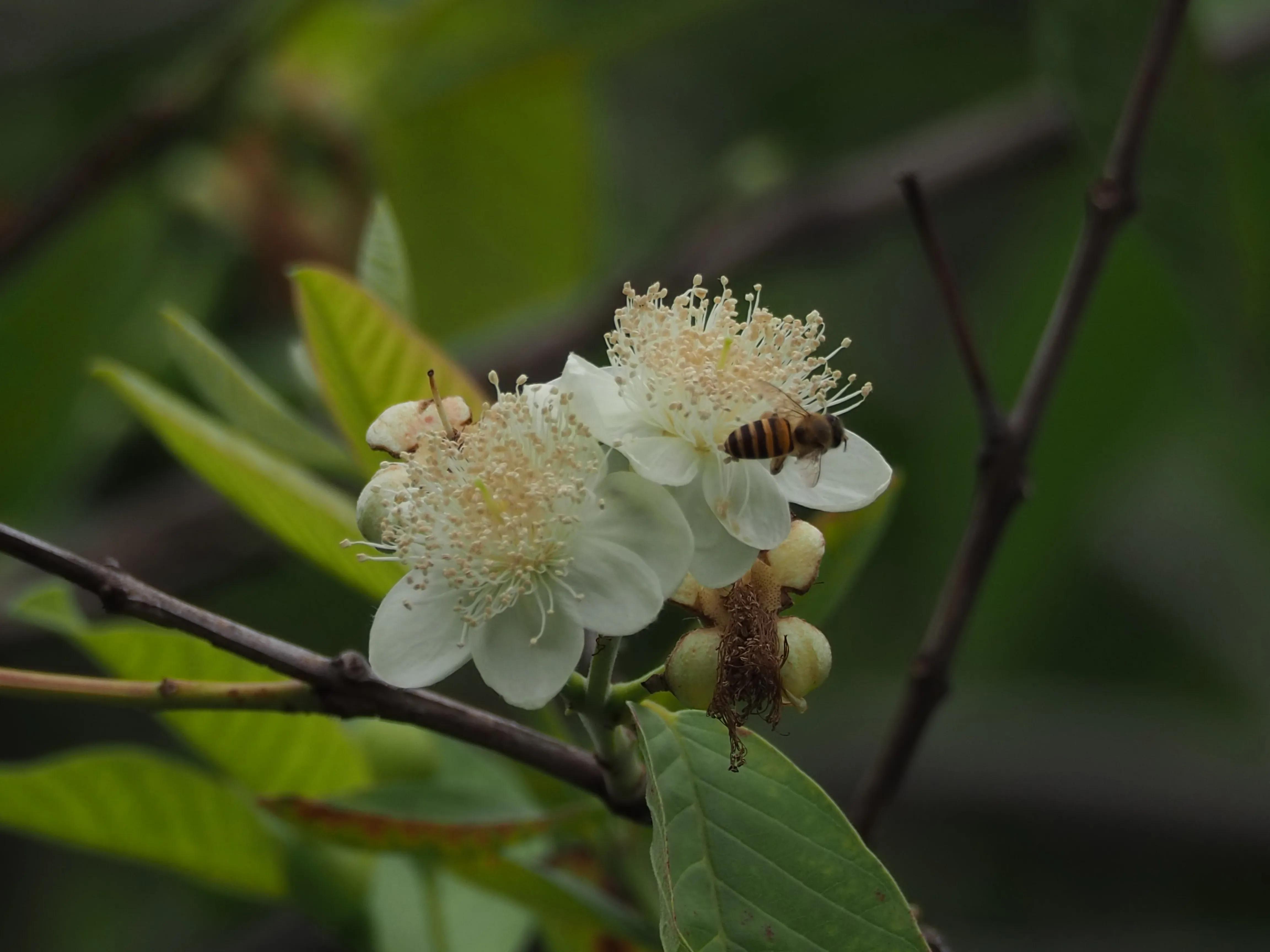 五一假期，O记实录