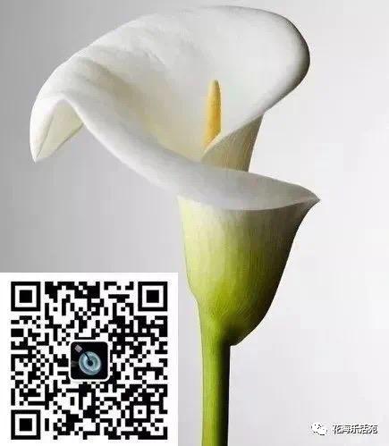 看足球赛日记200字,看世界杯足球比赛作文