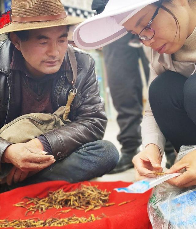 援藏干部泸州市,泸州市委对口帮扶工作