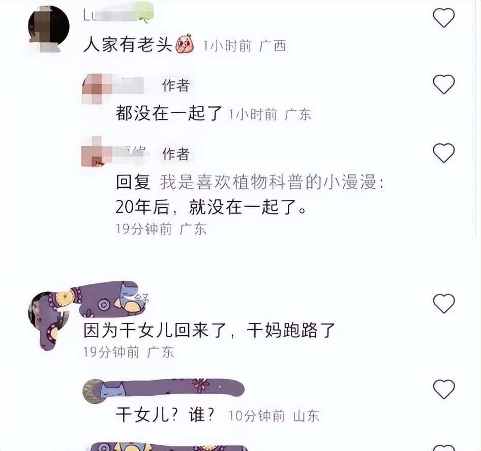 杨采钰陈金飞疑似离婚,陈金飞和杨采钰离婚吗
