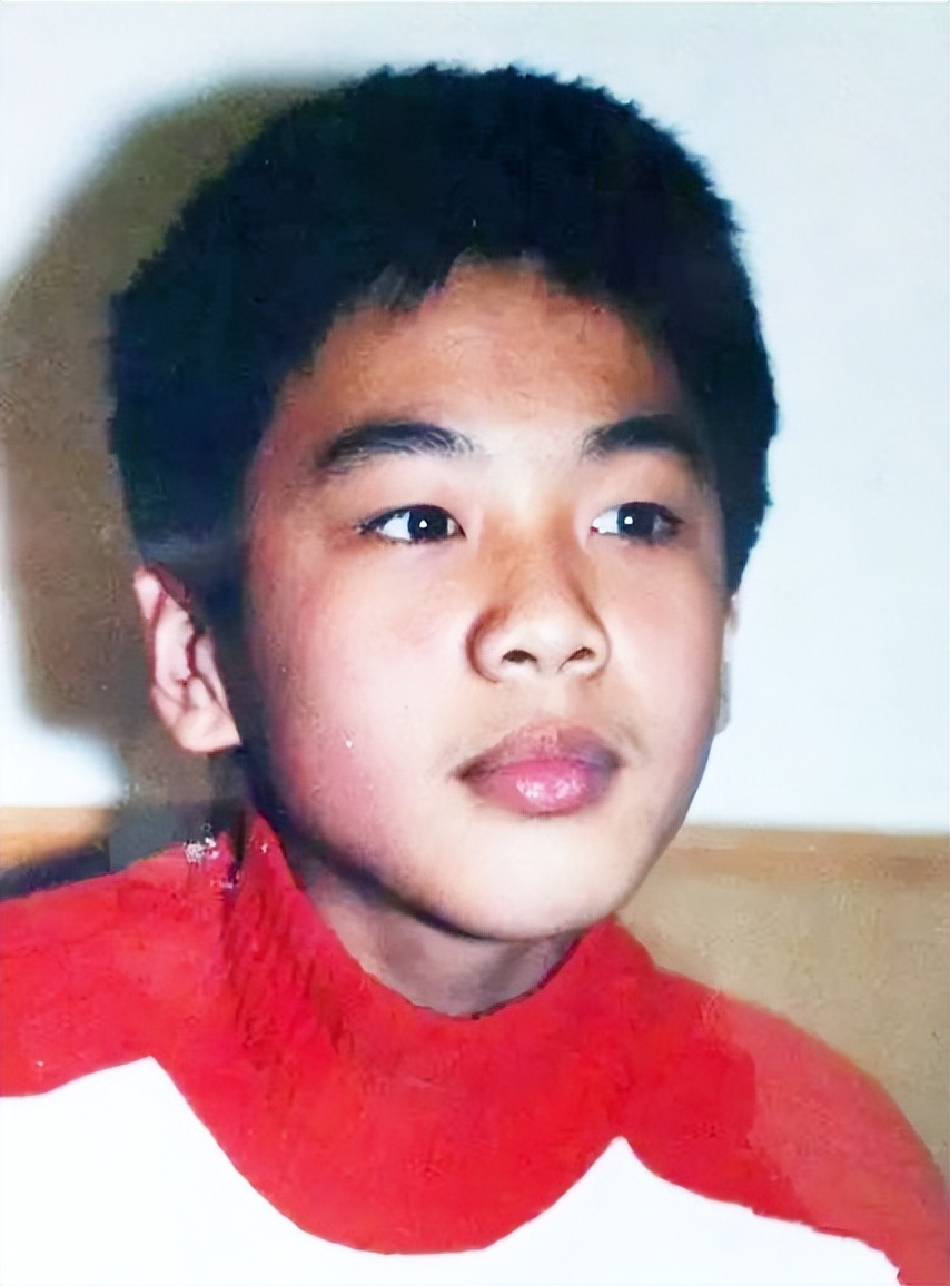 张健刘蓓离婚,张健与刘蓓近况