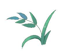 写秋月美景最好的古诗句,赞美秋月夜景的古诗词