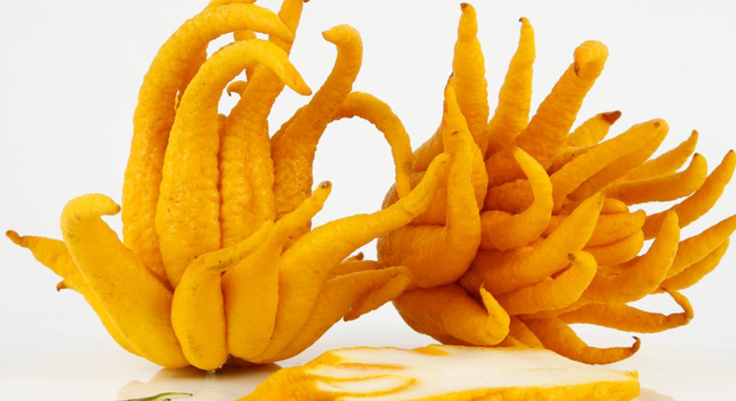 肝胆气郁吃什么中药调理,胆热脾胃虚肝郁怎么调理