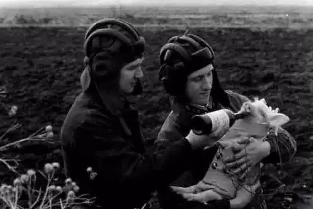 俄罗斯最硬核图片,俄罗斯十大惊人细节