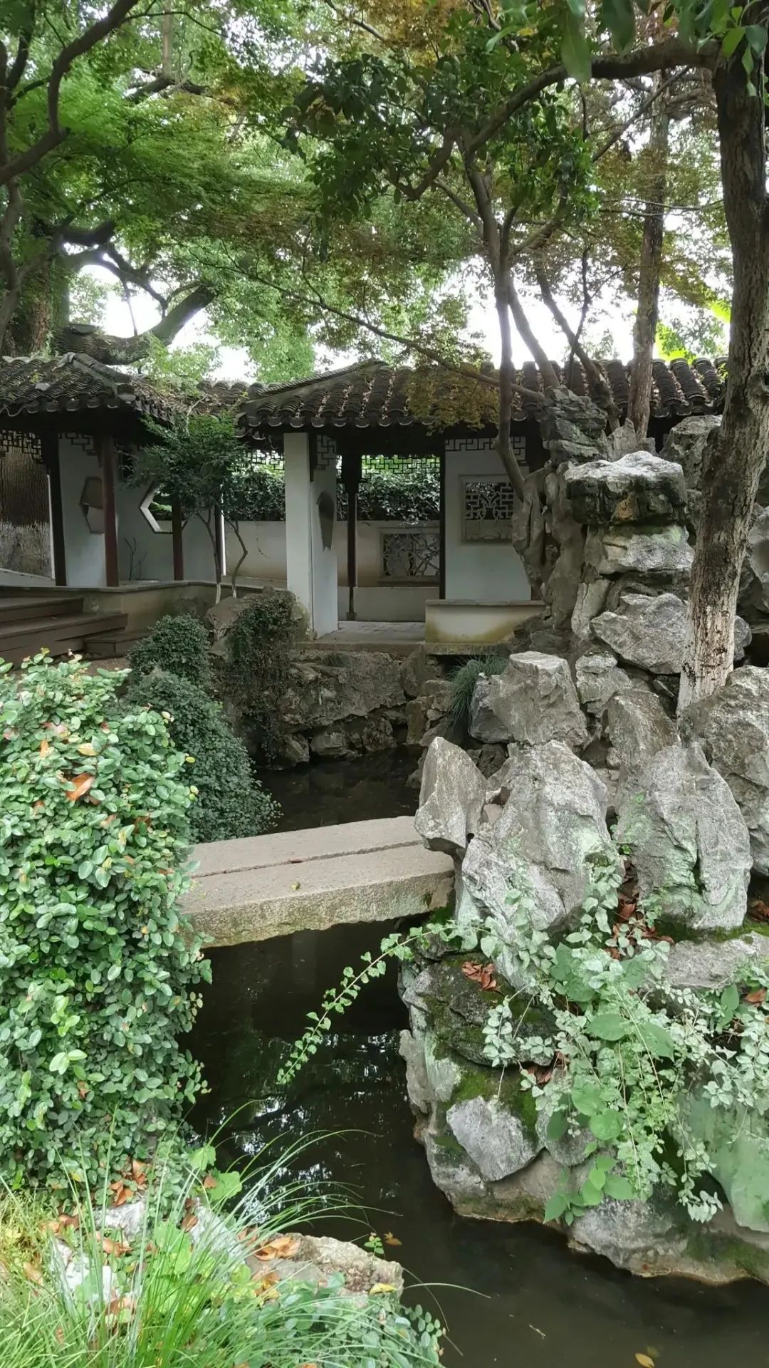 苏州常熟有古典园林吗,常熟百年园林图片