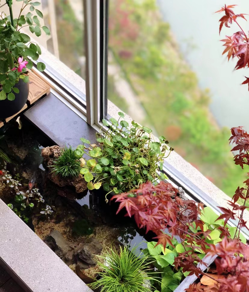 杭州女孩自己设计装修房子,杭州女孩自己装修五层楼大别墅