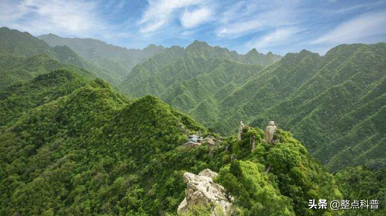 秦岭隧道挖出两条巨蟒是真的吗,世界上最大的蛇是不是在秦岭