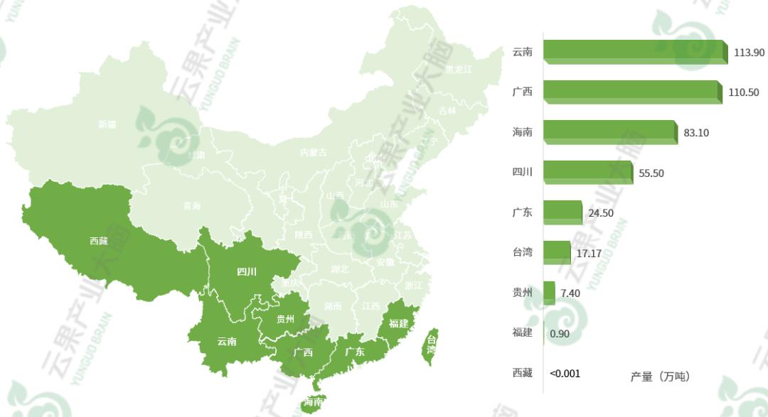 国内芒果产业发展现状,中国各省芒果主产区上市时间
