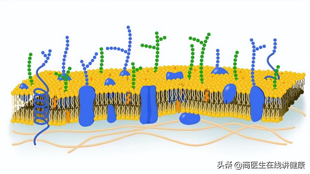 糖尿病人吃了二甲双胍是不是尿黄,糖尿病患者吃二甲双胍有副作用吗