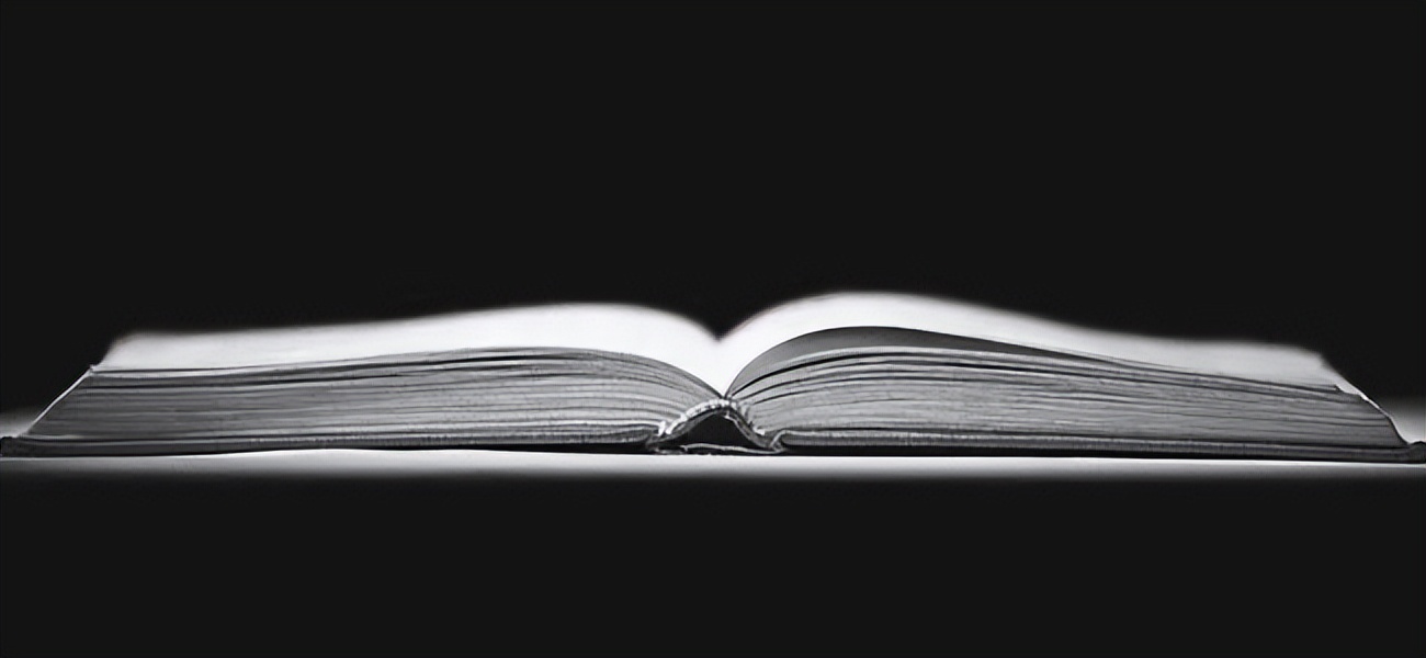 公司诉讼36式（纠纷应对指南版）