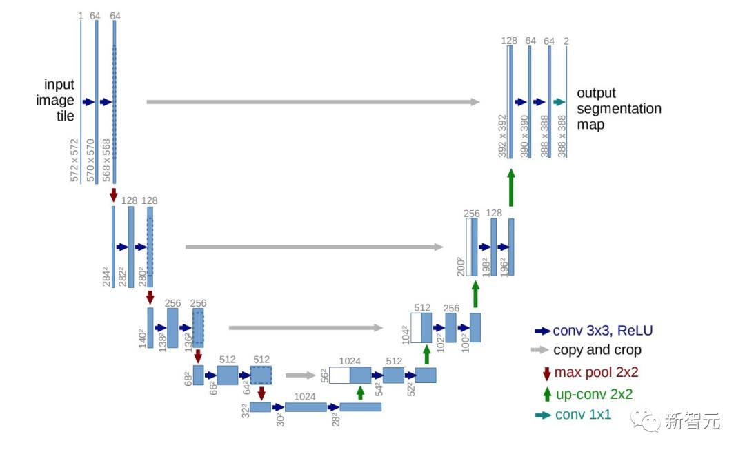 赫敏穿越,赫敏与龙妈