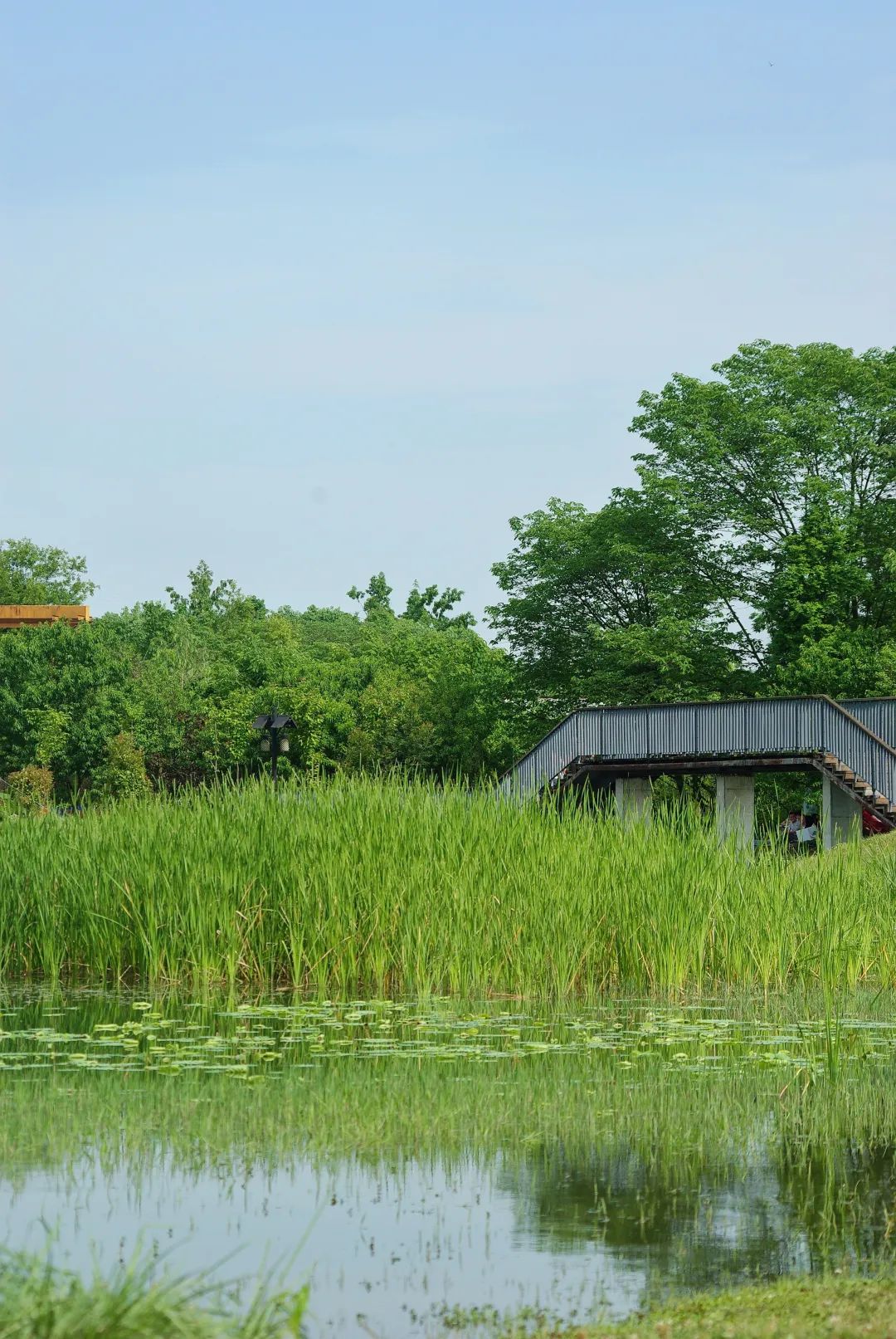 成都周边一日游露营烧烤好去处,成都周边春天适合野炊露营的地方