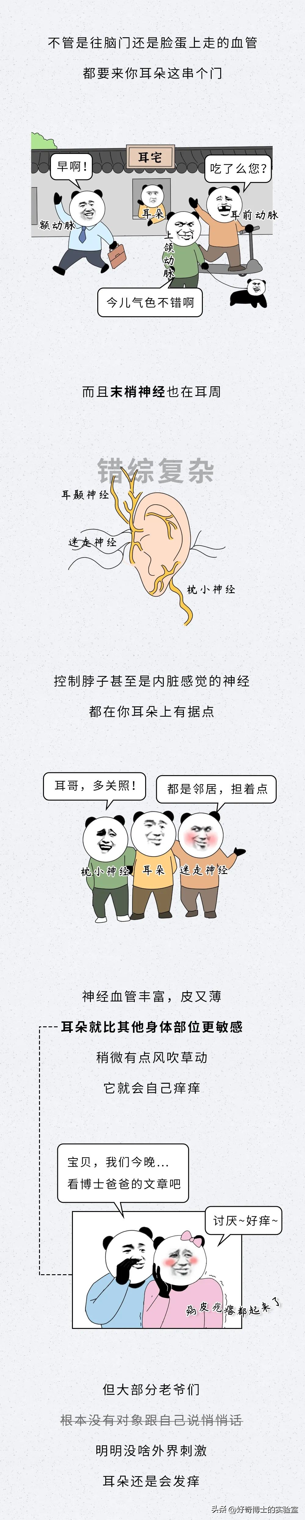 耳朵痒痒耳屎多怎么回事,耳朵里没有耳屎但是感觉堵住了