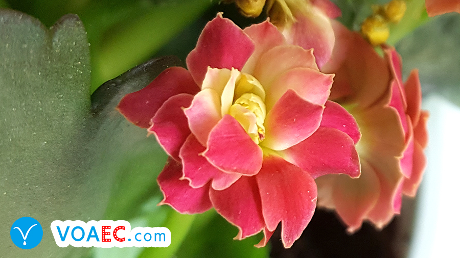 你应该了解一下地道的英文怎么说,有空一起睡觉用英文怎么说