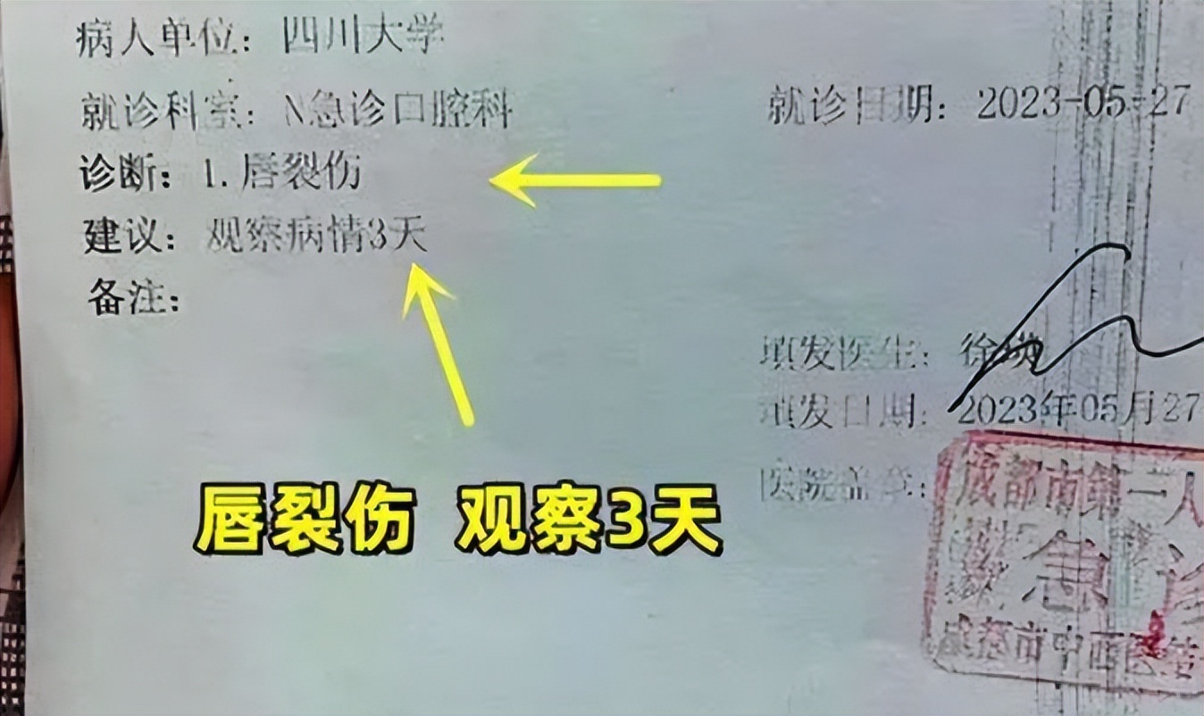 四川大学踢球事件,成都大学足球打裁判事件