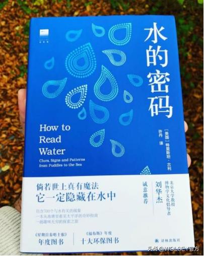 行走的人形音箱,电子卫星实时精准导航器