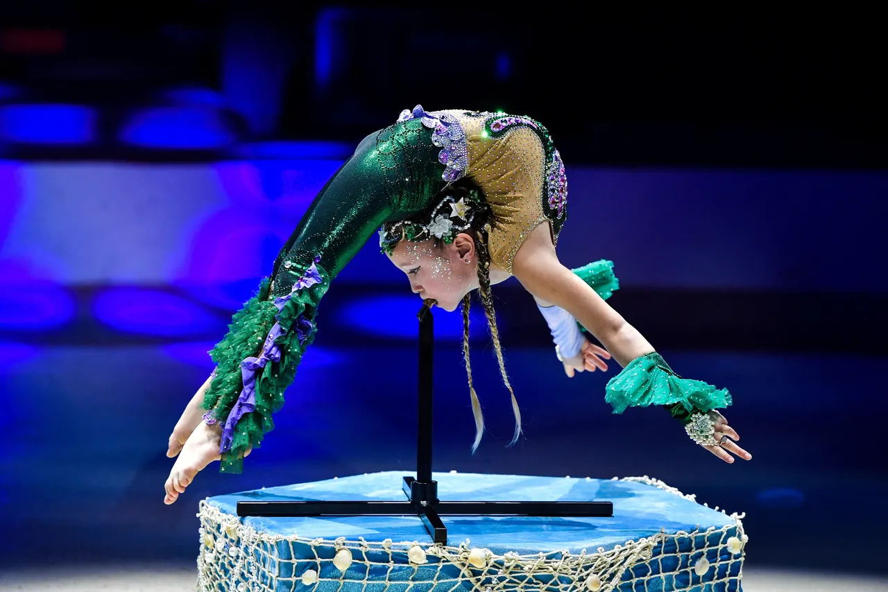 杂技女演员坠亡后续,杂技女演员坠亡事故后续