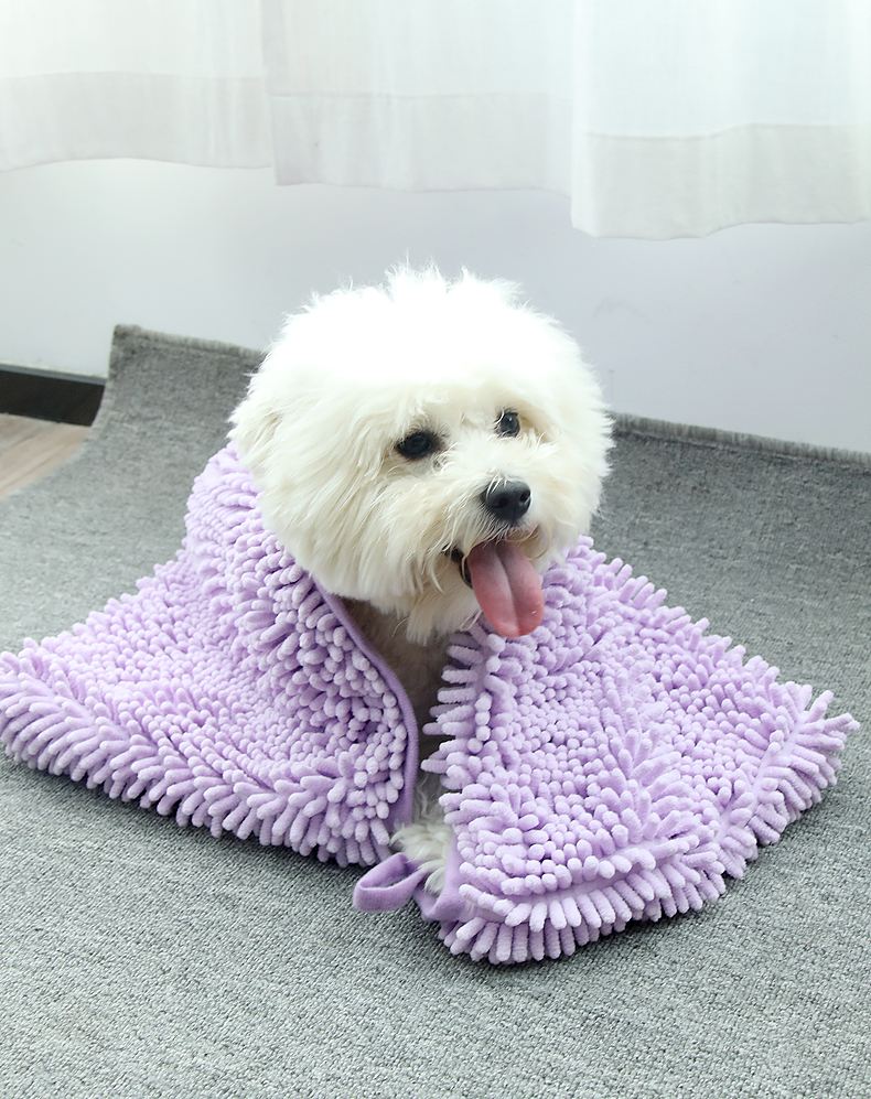 狗狗洗澡注意事项和禁忌,养狗讲究多8大禁忌绝不能犯