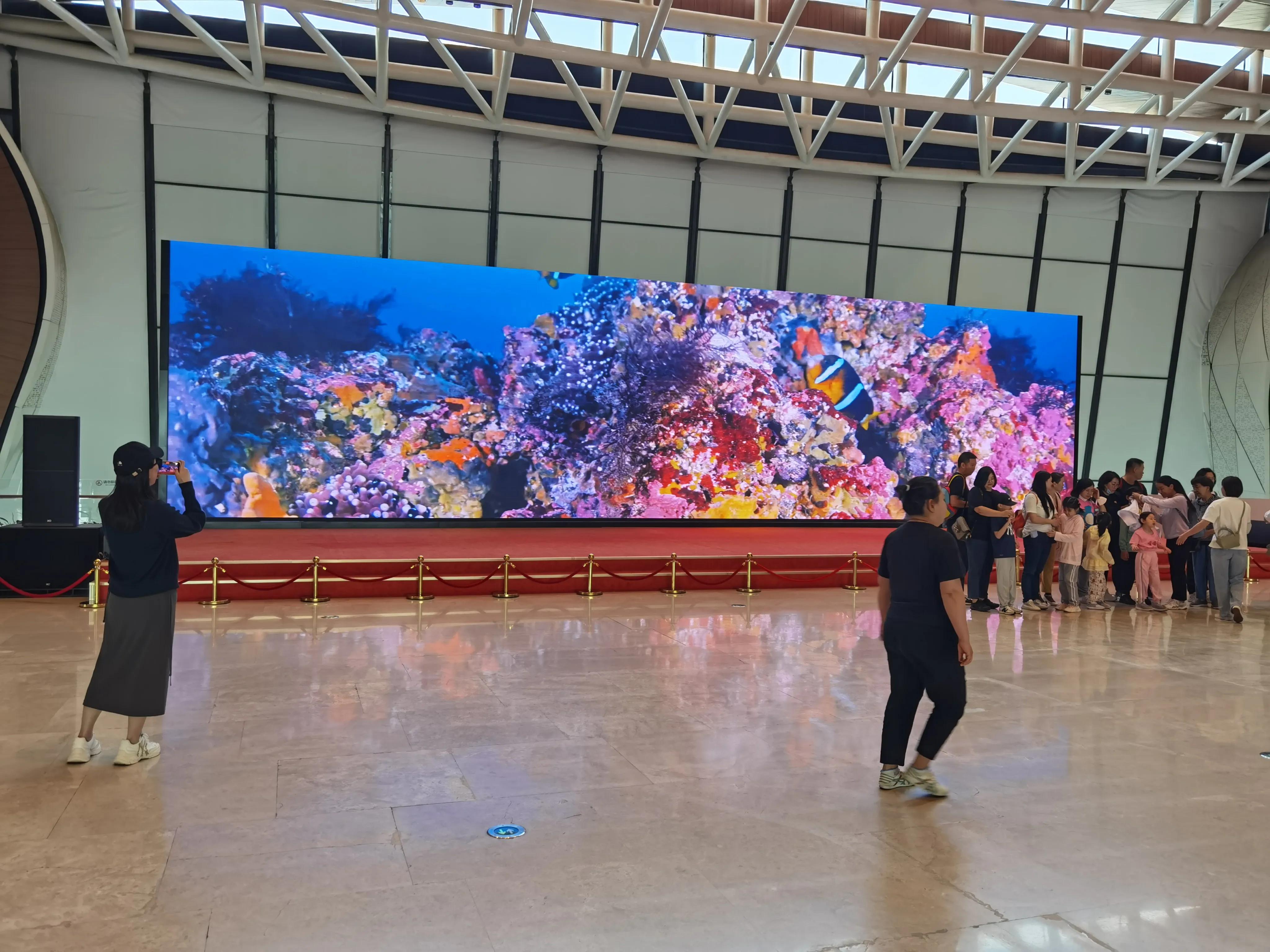 南湾海洋动物公园,国家海洋博物馆和南湾公园哪个好