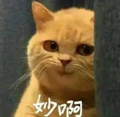 国家公务员面试考情分析,公务员面试题分析问题框架