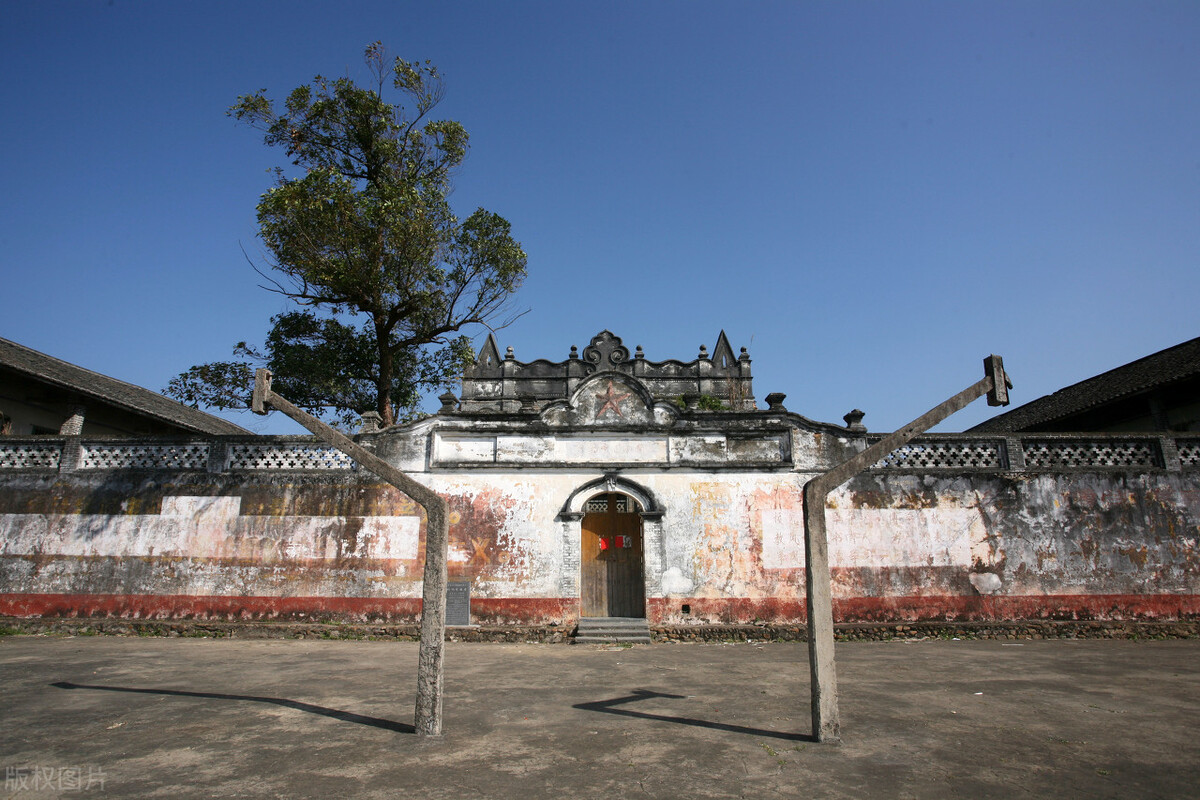 我的谍战生涯小说第九十九章节,我的谍战生涯小说最新章节