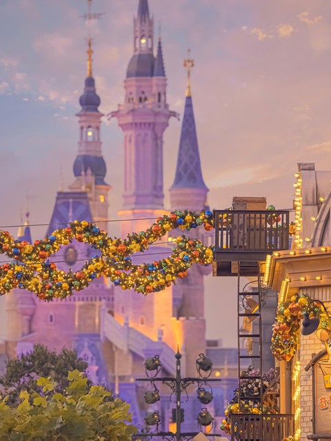 迪士尼回应落户武汉,武汉迪士尼乐园