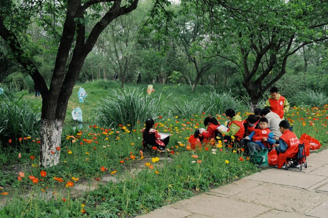 春天的潺潺溪水,春天的顶流