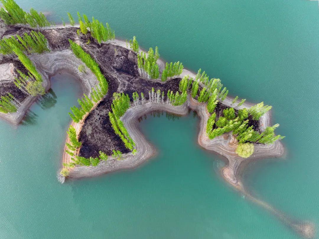 迎接党的20大美术作品,喜迎二十大乡村摄影展