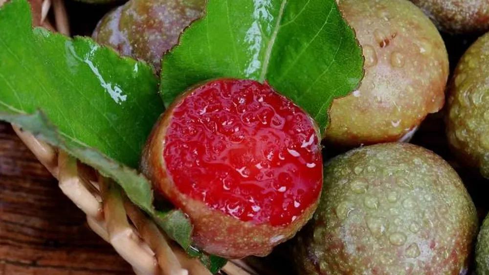 水果店烂了水果怎样处理,开水果店水果坏了怎么办