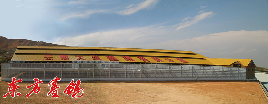 云南大理鑫翔公棚,大理宾川鑫翔公棚规程