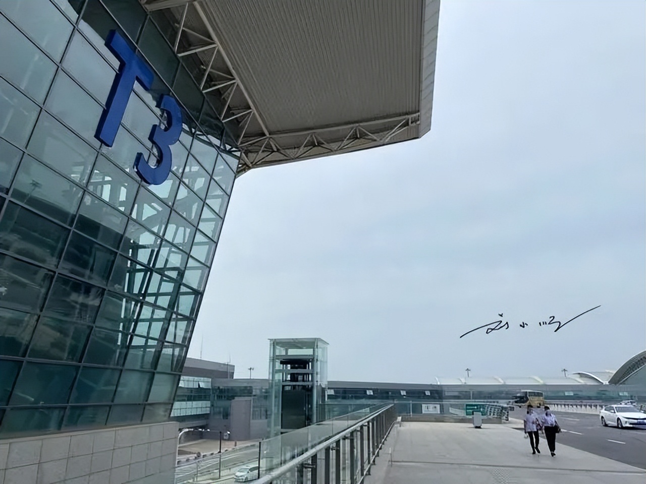 为什么你买的机票总比别人贵,为什么买的机票总比别人贵