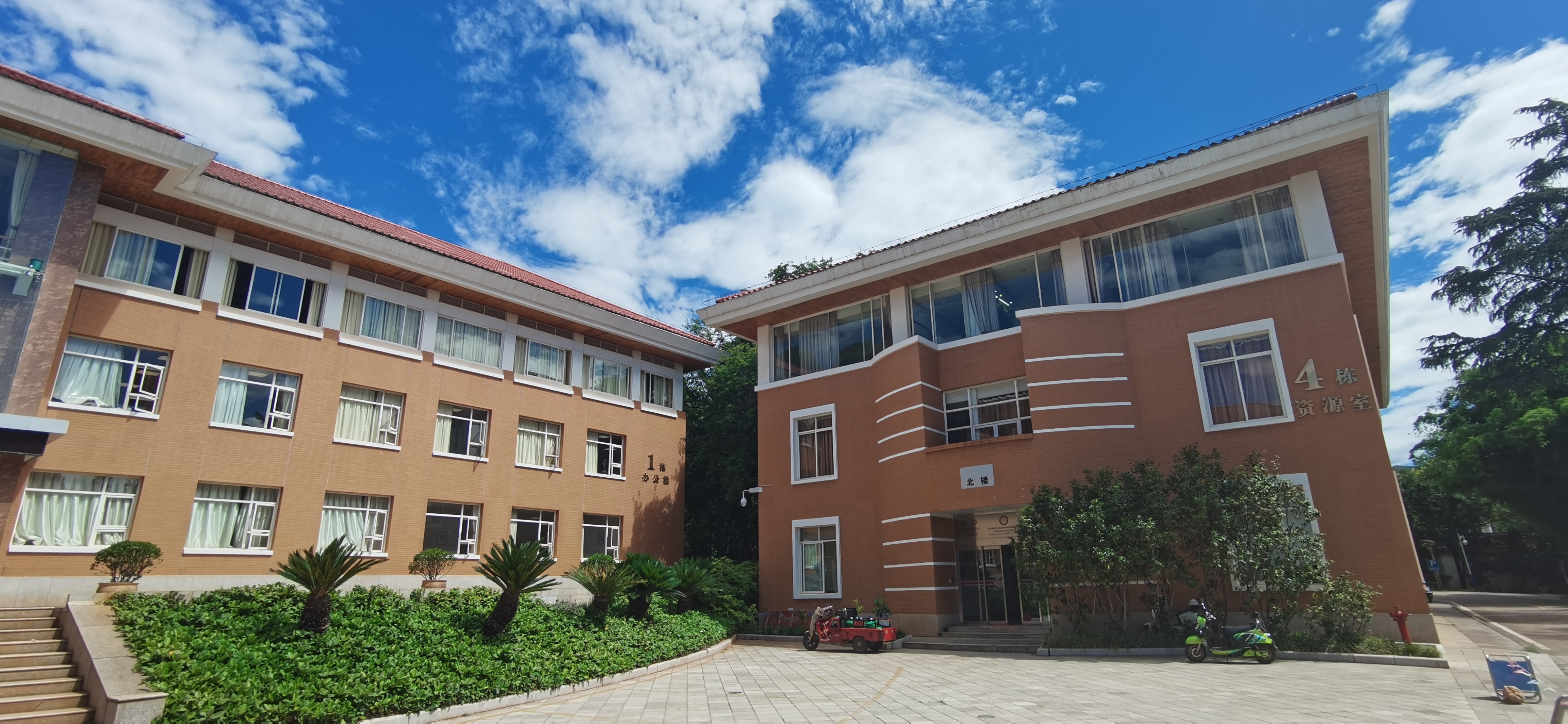 植物医生石斛兰眼霜抗皱去细纹,石斛兰眼霜