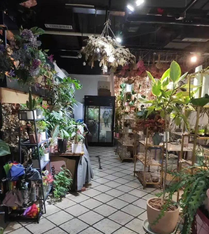 餐饮差异化运营模式,高端餐厅经营思路和方案