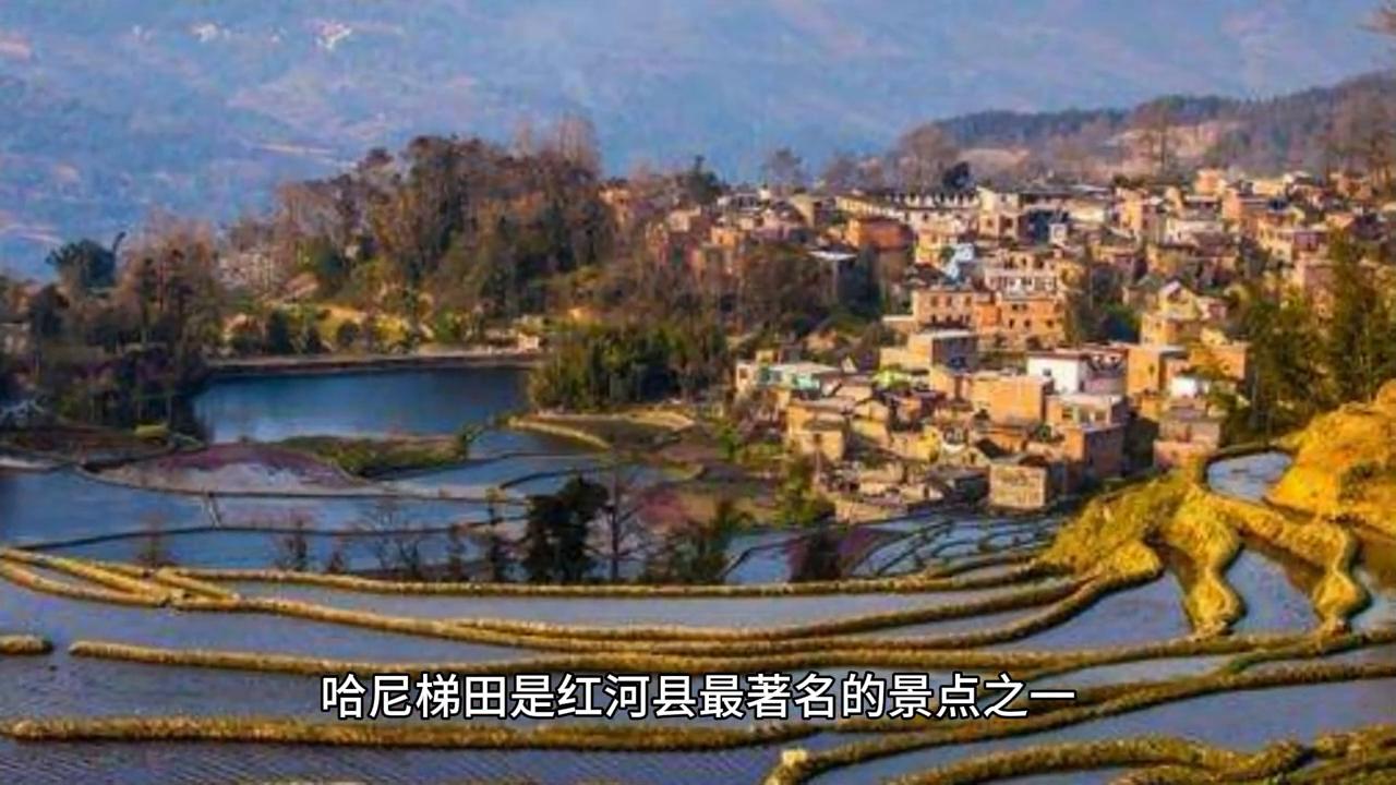 红河各县人均收入,红河县2023年城乡居民可支配收入