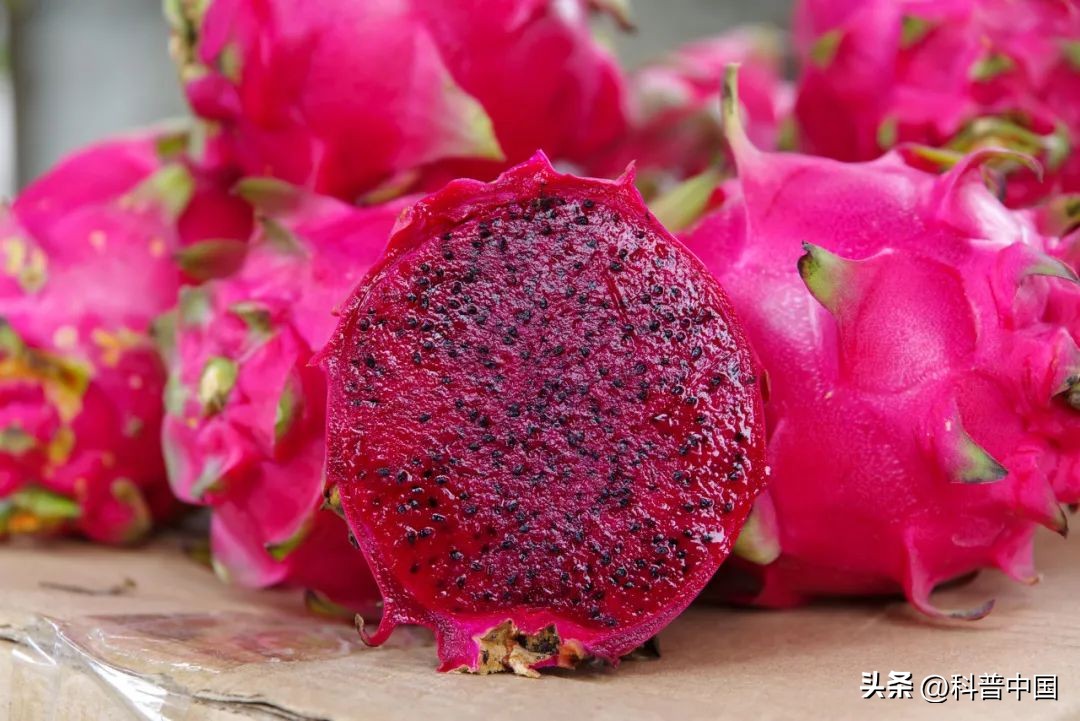 红心火龙果大便变红会持续几天,吃火龙果一小时后排便红色正常吗