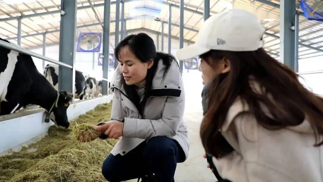 “我的奋斗建功故事”|成美玉《风雨创业路致富引路人》的故事