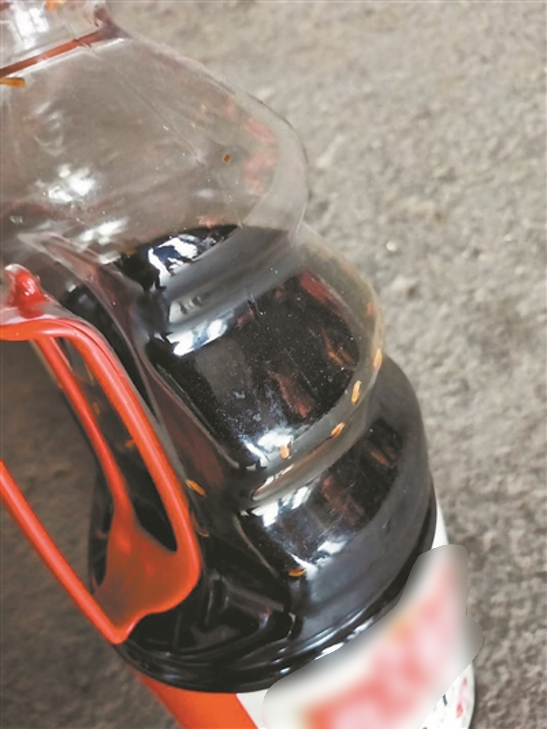 为啥身上会长蛆虫,人身上有蛆虫是什么原因