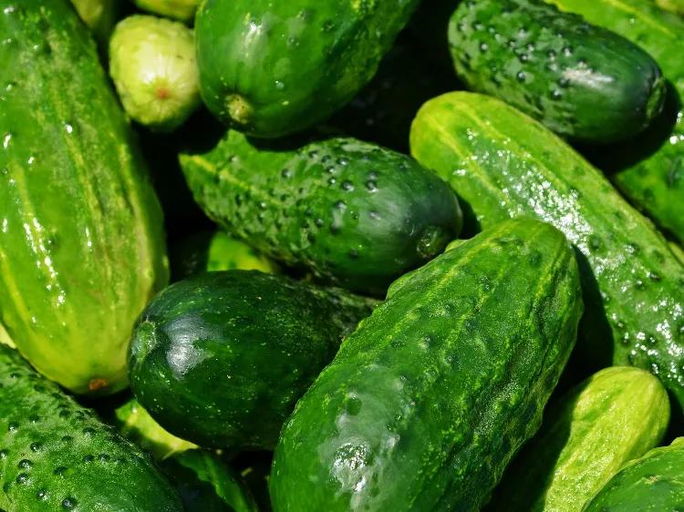 江苏淮安特产酒,江苏淮安特产方便携带