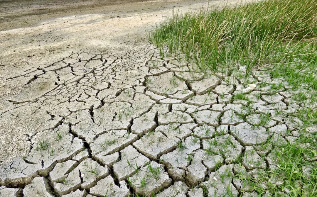 遭遇500年来最严重干旱，欧洲供电系统如何应对？