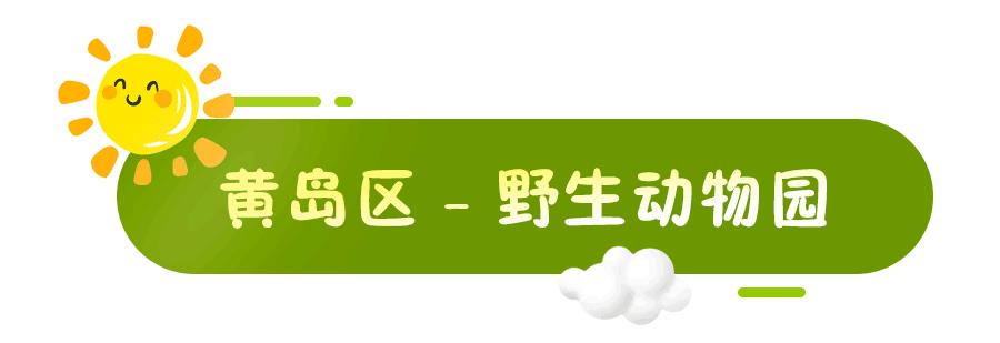 青岛遛娃推荐一定要去的十个地方,青岛石老人浴场到青岛海底世界