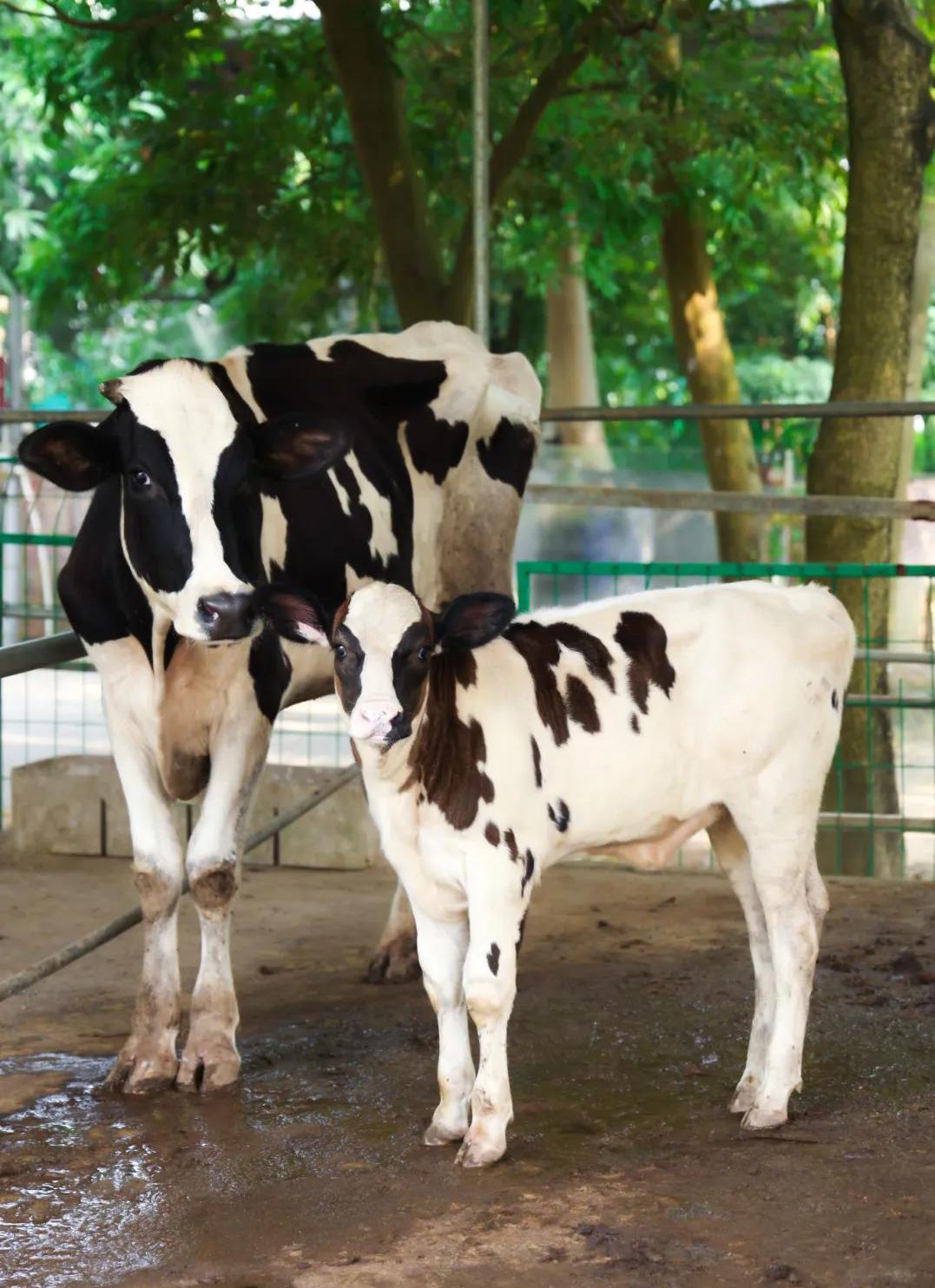 父亲节这天可以去哪玩,父亲节带父母游玩是最佳选择