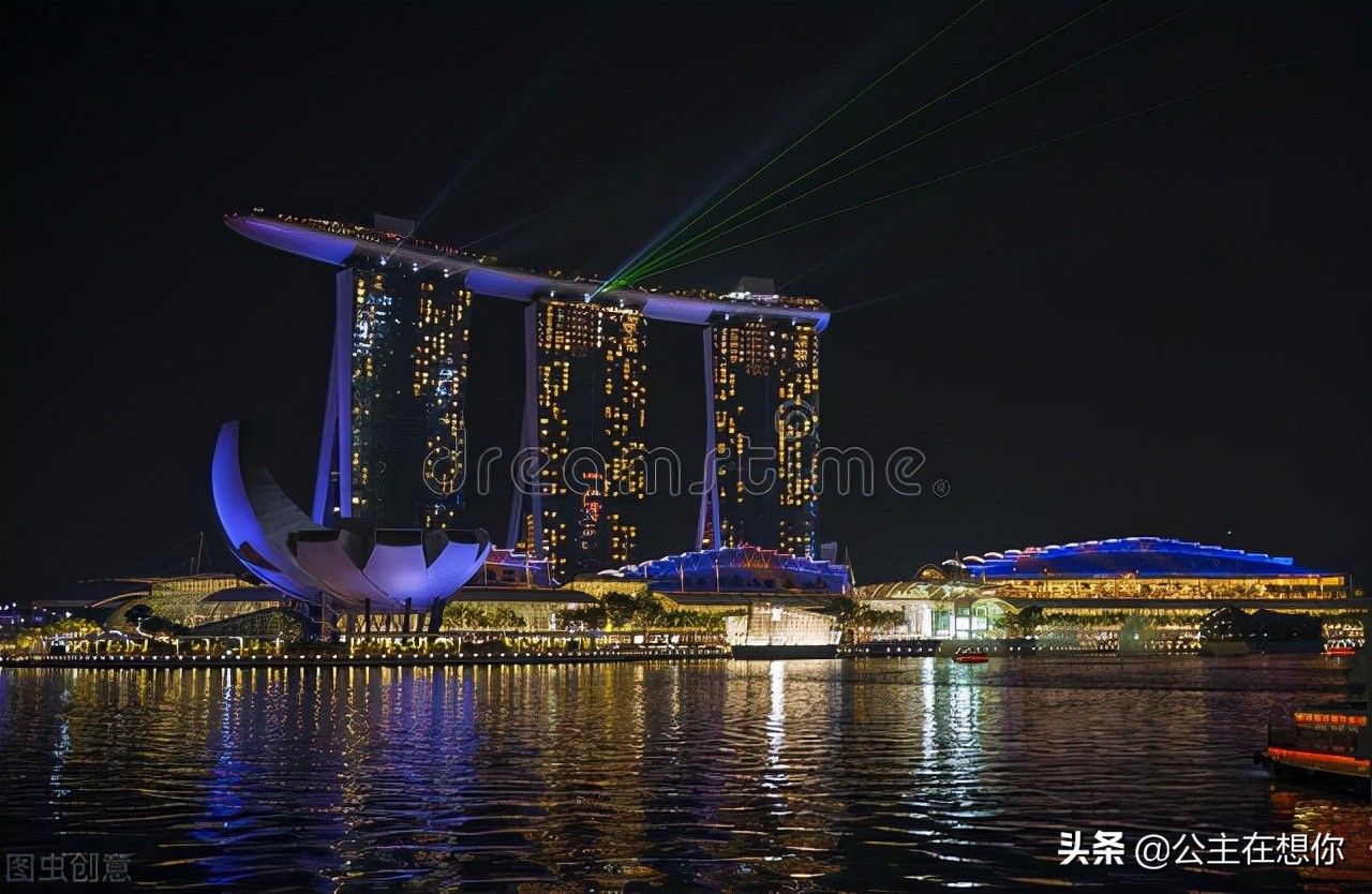 新加坡7个冷知识英文,世界上养猫最多的国家