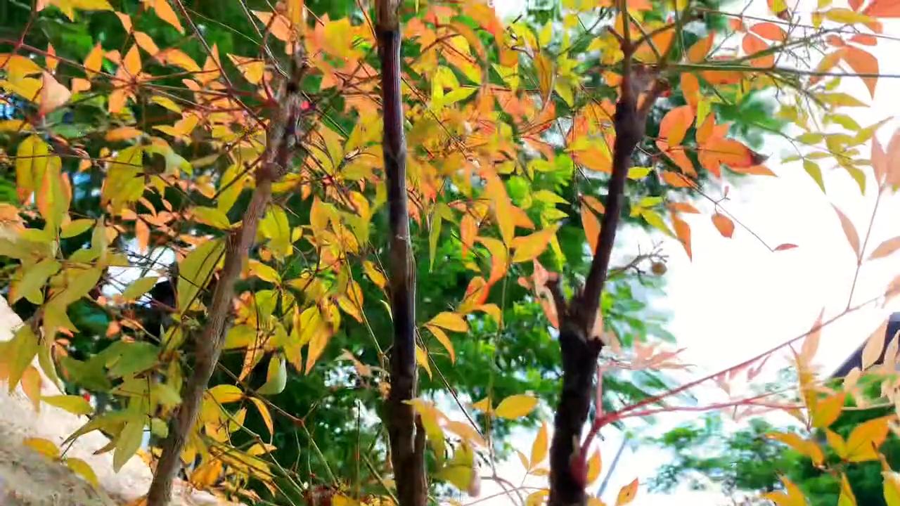 关联小热点怎么蹭热点,如何蹭热点话题发短视频