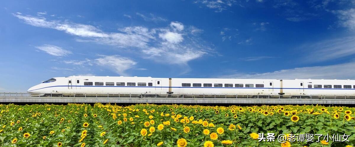 300分以下的专科应学哪些专业,2020年河南文科300分能上什么专科