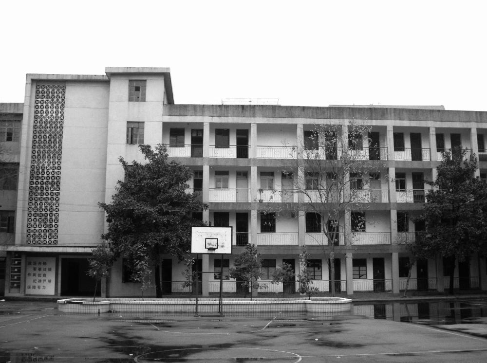 人民日报科技创新生态不断优化,人民日报关于创新发展的句子